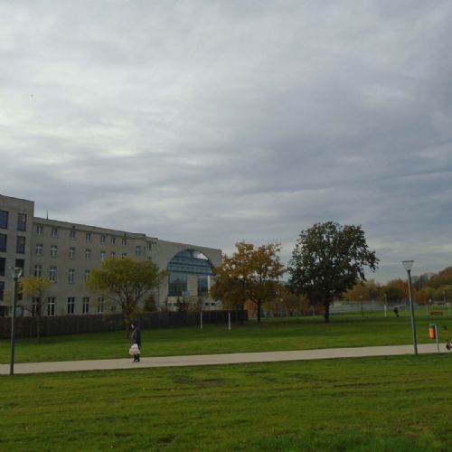 DSC00590