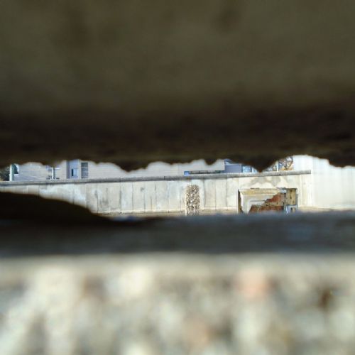 DSC00718